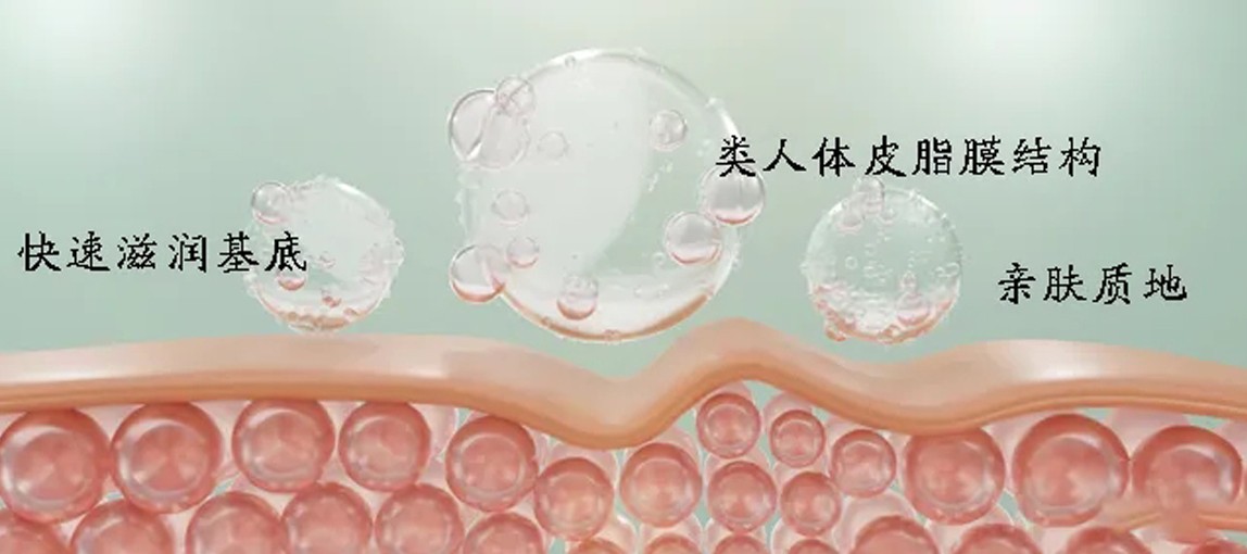 揭秘尖端生物科技：植物仿生皮脂，模擬細(xì)胞間脂質(zhì)功效，修護(hù)皮膚屏障，強(qiáng)韌肌膚！